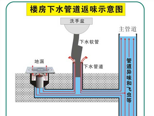 水封地漏